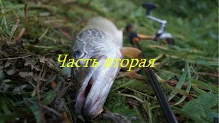 За щукой на лесную речку.Рыбалка на малой речке весной.Часть вторая.
