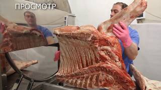 Станок для рубки мяса универсальный.        Цена:  386 000 руб.