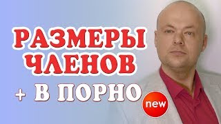 РАЗМЕРЫ ЧЛЕНОВ. РАЗМЕРЫ ЧЛЕНОВ В ПОРНОФИЛЬМАХ. 18+. ИДЕАЛЬНЫЙ СЕКС И РАЗМЕР ЧЛЕНА. Денис Косташ