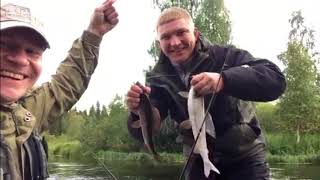 Ловля хариуса в Архангельской области. Полный фильм.