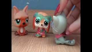 Littlest PetShop: Просто будь собой (С чего всё начиналось или 0 серия)