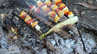 Campfire Cooking Shish Kabobs Venison Style