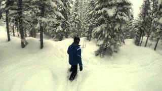 Steamboat: Christmas Tree Bowl: HD