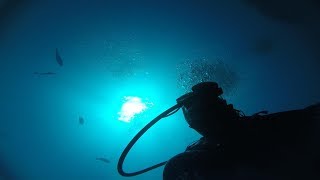 Diving Calabardina Murcia (Spain) [REDRUMfilms]