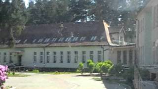 Борне-сулиново 2011