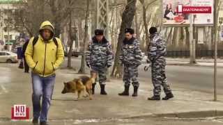В центре города работают кинологи