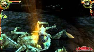 The Witcher. Прохождение. Часть 82. Кащей. Явед.