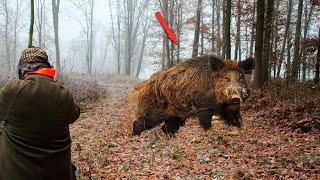 Огромный СЕКАЧ хотел порвать меня на части, но вдруг из леса выскочил ОН!