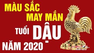Tử Vi Tuổi Dậu 2020 Canh Tý Màu Sắc Phong Thủy Mang Lại May Mắn Cho Tuổi Dậu - Tử vi 12 Con Giáp