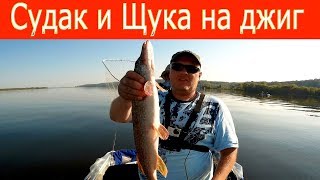 Щука и судак на джиг. Рыбалка в Бармино