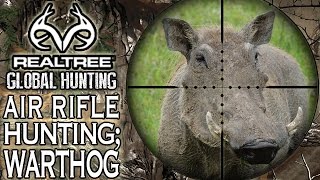Benjamin Bulldog Big Bore Air Rifle Hunting in South Africa: Warthog