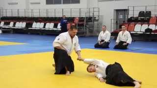 Aikibudo in Russia