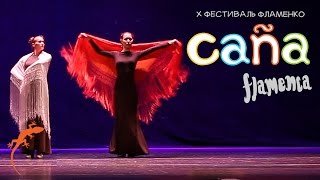 Студия Марины Коробко / «Locura»