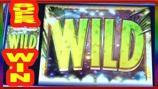** SUPER BIG WIN ** TEMPLE TIGER  n others ** SLOT LOVER **