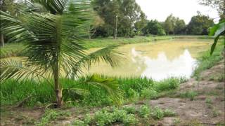 Trang trại đẹp [ nhadatcuchicanban.com ]