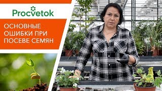 Посев семян. Разбор основных ошибок. Отвечаем на ваши вопросы