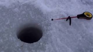 Winter fishing on Lake Peipsi. Estonia-Kallaste-2012 -Зимняя рыбалка 26.02.12