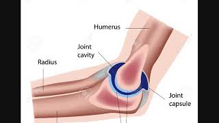 Osteopatia Biodinamica per la borsite al gomito