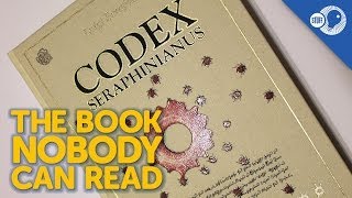 The Book Nobody Can Read: Codex Seraphinianus