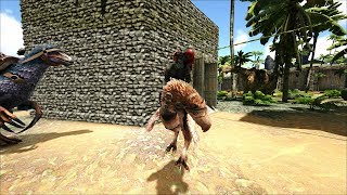 ARK: Survival Evolved - Выживание на НОРЕ. # 24. Приручаем всех !!