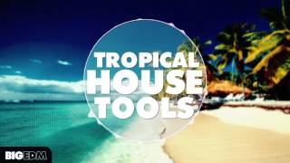 Tropical House Tools [5 Construction Kits, 150+ Melody, Drum, Guitar Loops & Samples + Presets]