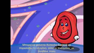 Κυκλοφορικό σύστημα - Δημοτικό