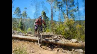 Mountainbike Enduro Camp auf Teneriffa - Slideshow