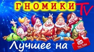 ГНОМИКИ ТВ