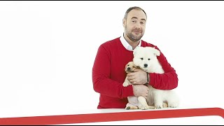 Прежде чем завести щенка. Школа идеального хозяина. Выпуск 1.