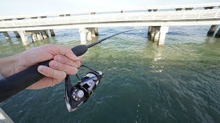 Fishing the WORLDS LONGEST Fishing Pier!! (Saltwater Craziness)