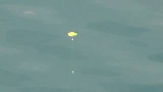 フカセ釣り（スルスル釣り）の浮きのアタリ　和歌山釣太郎