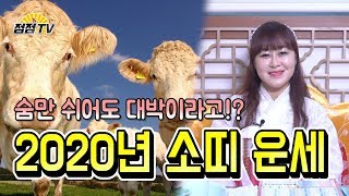 (용한점집)숨만쉬어도 대박이라구, 2020년도 소띠 운세 [점점tv정주행하기]