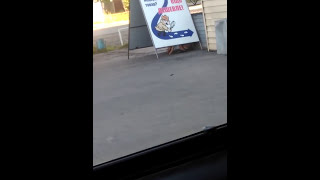 Спалили поцыка