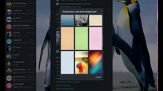 How to Change Chat Background Theme on Telegram Messenger