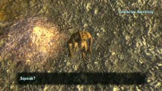 Fallout New Vegas:Mods: Baby Deathclaw Companion
