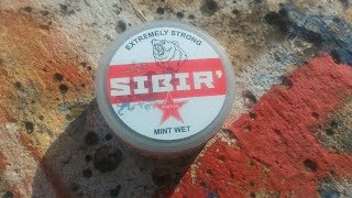 Новый Жевательный SIBIR' | Не снюс | Не насвай | НОВИНКА