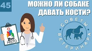 Можно ли собаке давать кости? | Как научить собаку есть кости? | Чем заменить? | Советы Ветеринара