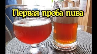 Первая дегустация домашнего пива