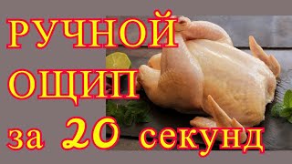 Ощип БЕЗ перосъемки за 20 секунд. (Хайп на канале)