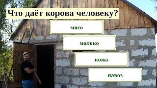 У НАС ПОЯВИЛСЯ КОРОВНИК!/Удачен ли наш переезд?/Ловись рыба,а в ней....