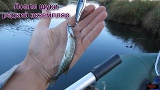 Рыбалка на щуку летом***на маленьких реках:отчеты о рыбалке: