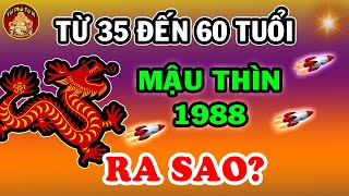 Mậu Thìn 1988 Khổ Trước Sướng Sau - Tuổi Trẻ Vất Vả, Hậu Vận Giàu Sang Cực Nhiều Tiền