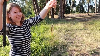 VLOG Рыбалка в Пуще Водице ловим плотву и краснопёрку  Ловля на попла поппер часть 2