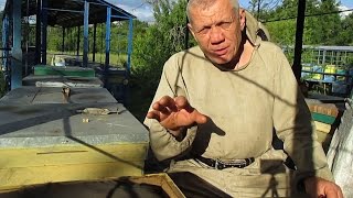 КАК СДЕЛАТЬ ОТВОДОК ПЧЕЛ Подсадка матки в отводок