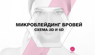 Микроблейдинг бровей / Схема  3D и 6D - секрет нанесения волосков. Татуаж бровей.