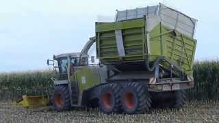 Corn silage with Jaguar 900 field shuttle and John Deere/Уборка кукурузы на силос