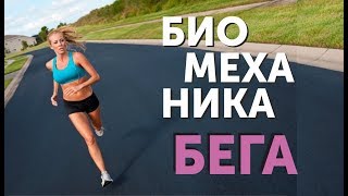 Биомеханика бега: анатомия стоп, фазы бега, рекомендации по бегу.