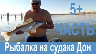 Рыбалка на судака -  5+ серия  ZANDER WORLD  Дон 12 13 10 2014