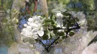 МАНТРА ЖЕНСКОГО СЧАСТЬЯ (mantra of woman happiness)