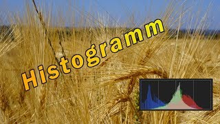 Kamera - Histogramm